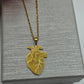 Collana Cuore Anatomico